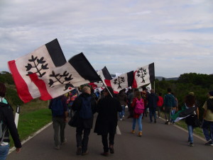 iRS partecipa alla manifestazione "Fermiamo la Trident Juncture"